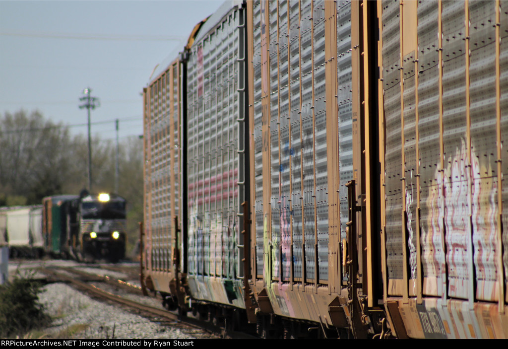 NS 4628
